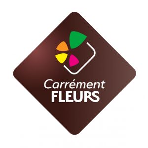 Franchise CARREMENT FLEURS